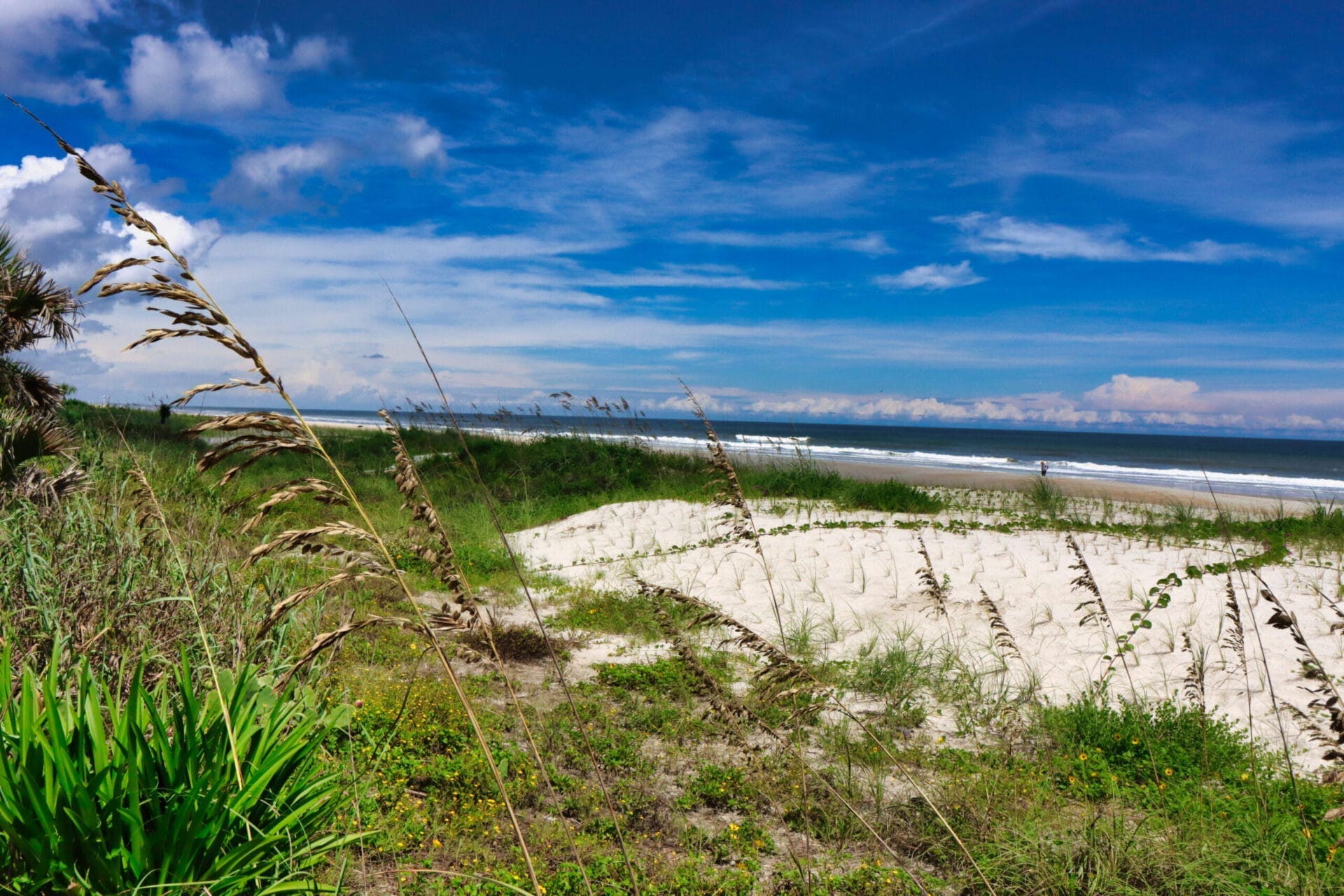 Palm Coast, FL - T&E Moving service area